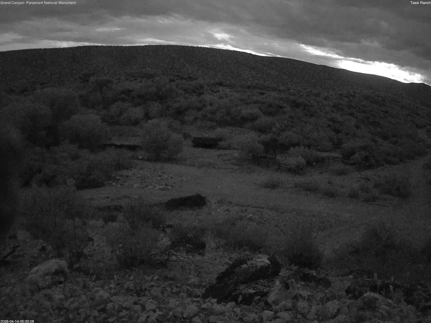 time-lapse frame, Tassi Ranch webcam