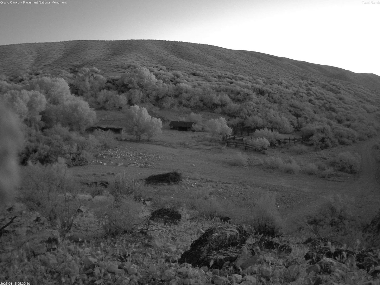 time-lapse frame, Tassi Ranch webcam