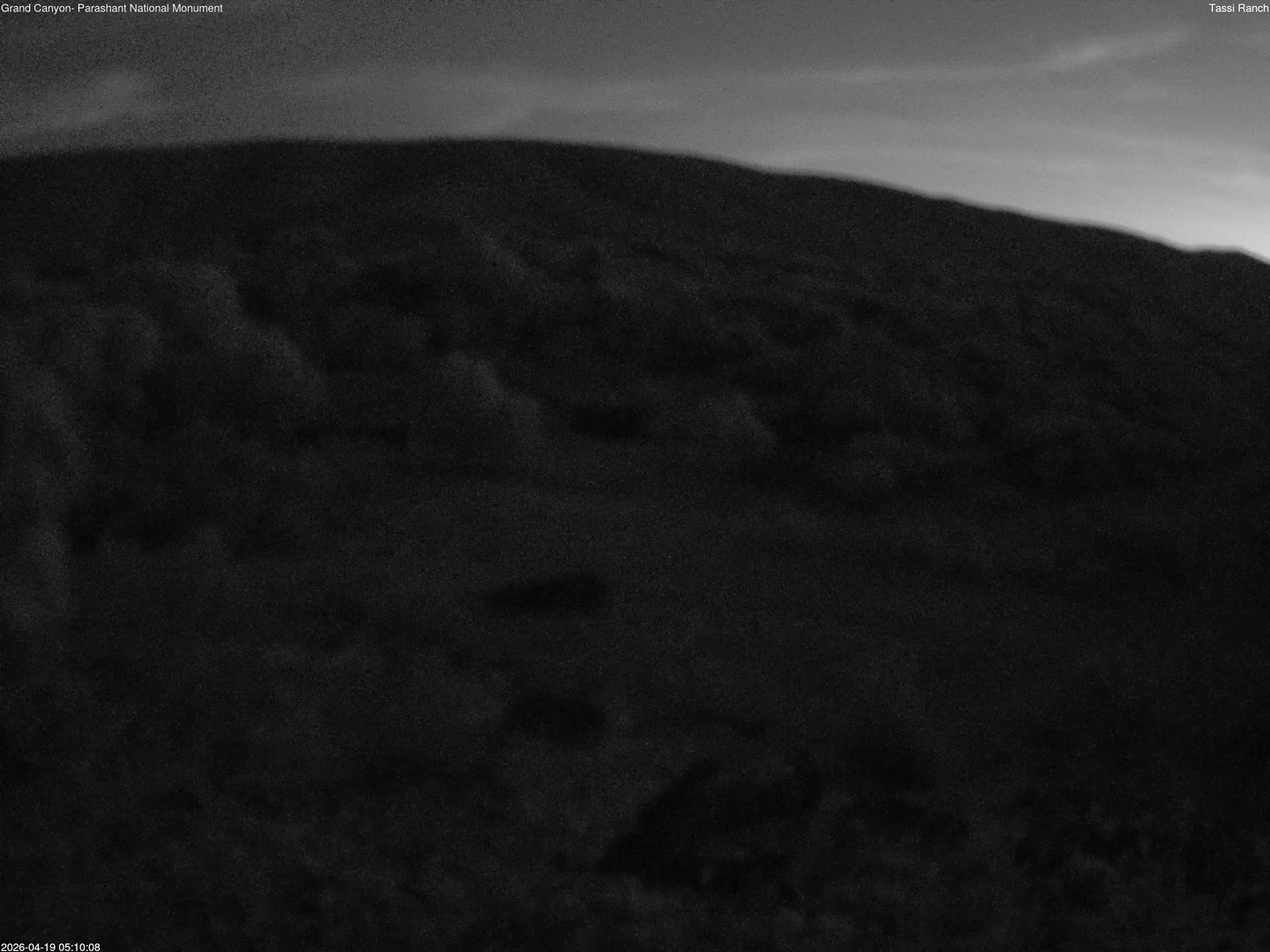 time-lapse frame, Tassi Ranch webcam