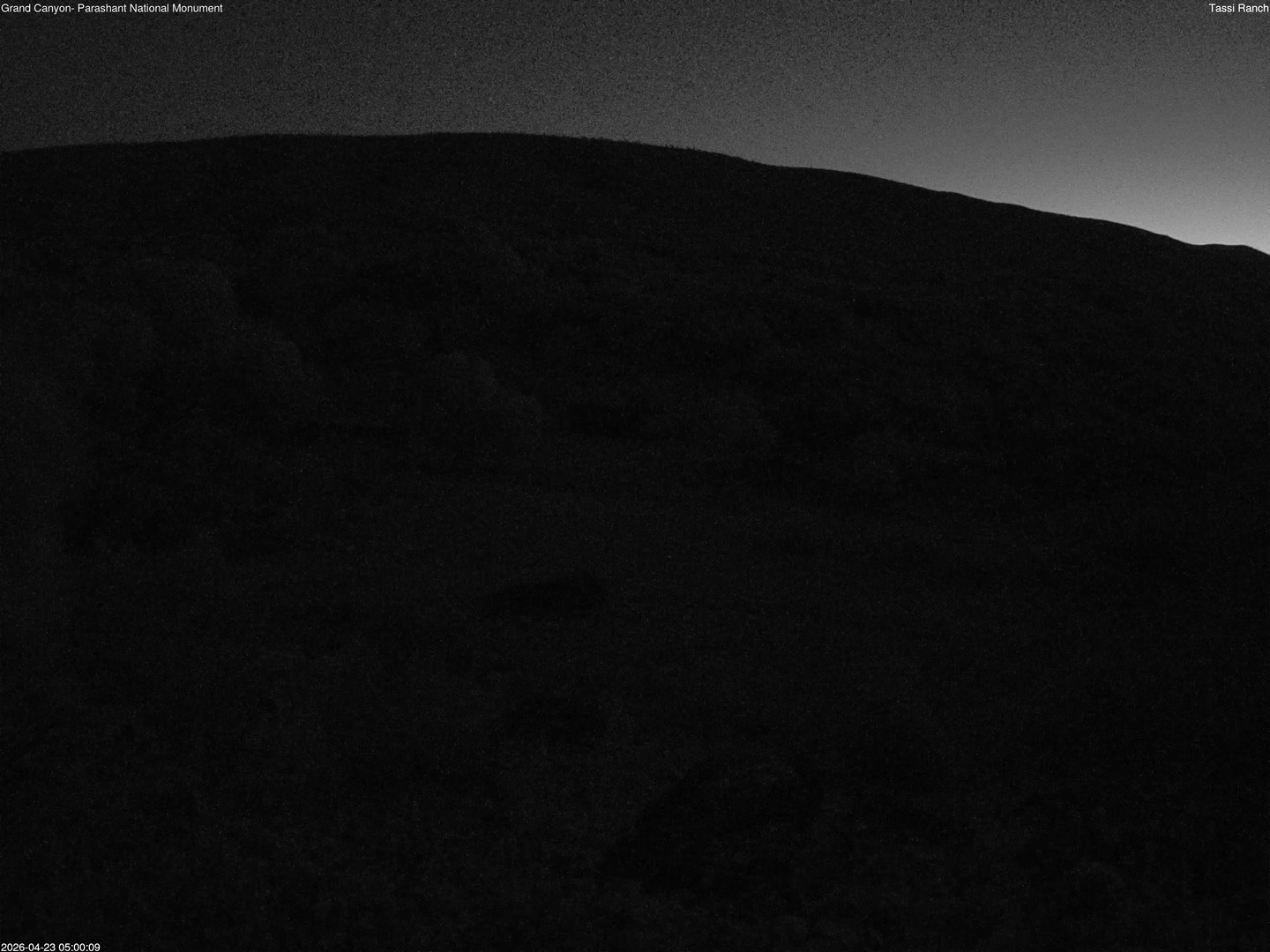 time-lapse frame, Tassi Ranch webcam