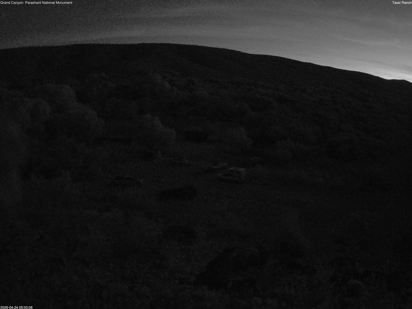 time-lapse frame, Tassi Ranch webcam