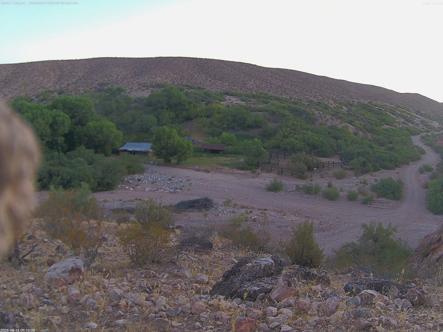 time-lapse frame, Tassi Ranch webcam