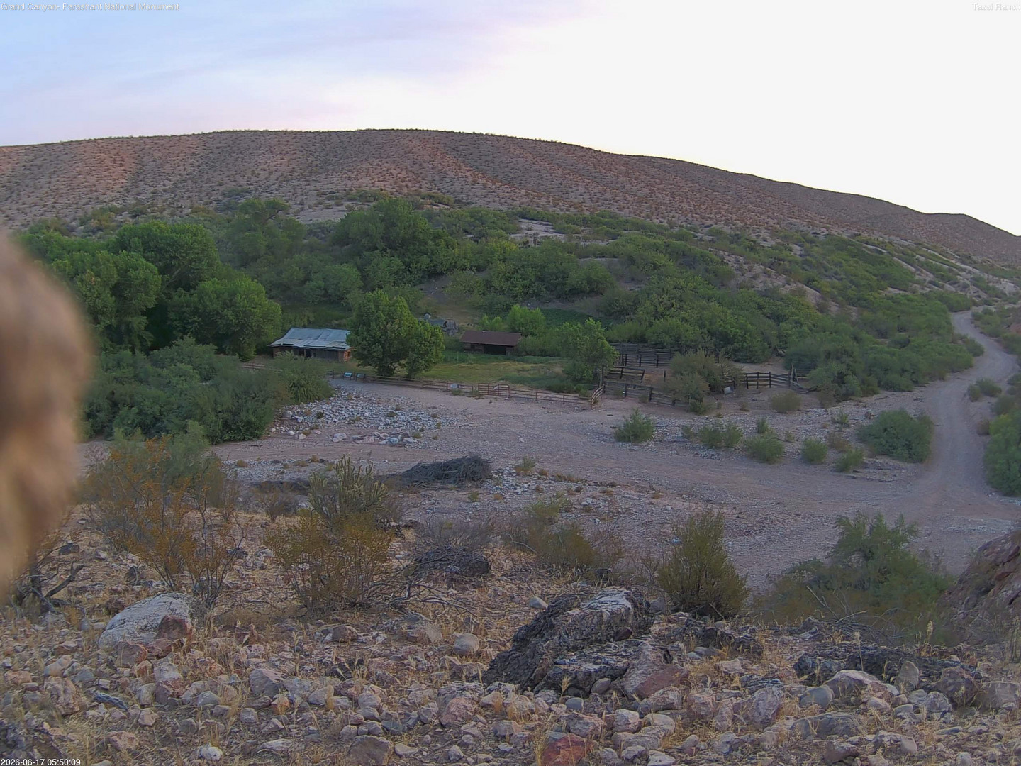 time-lapse frame, Tassi Ranch webcam