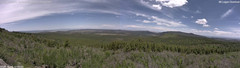 view from Mt Logan on 2025-05-29