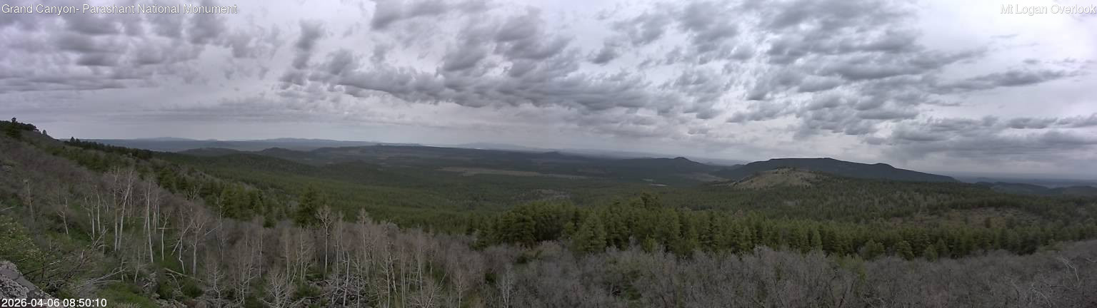 time-lapse frame, Mt Logan webcam
