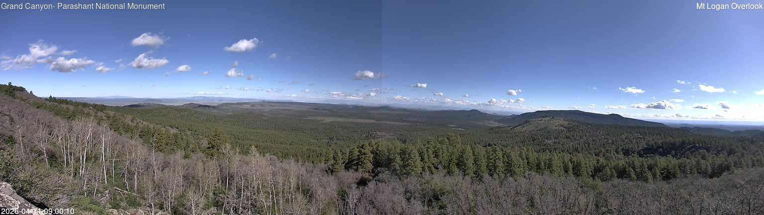 time-lapse frame, Mt Logan webcam