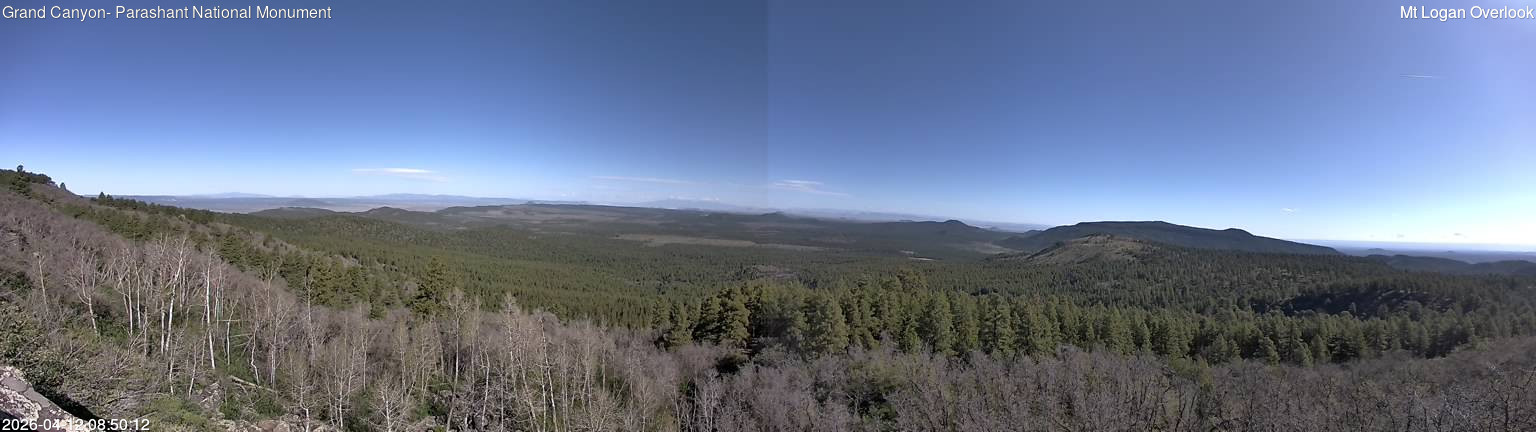 time-lapse frame, Mt Logan webcam