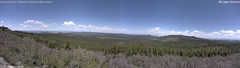 view from Mt Logan on 2026-04-27