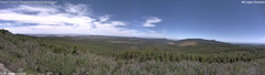 view from Mt Logan on 2026-06-08