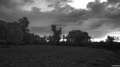 view from CreekCam East on 2025-07-05