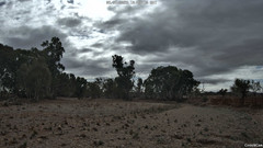 view from CreekCam East on 2025-07-05