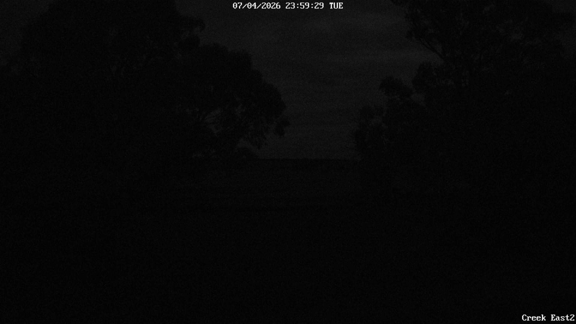 time-lapse frame, CreekCam East webcam