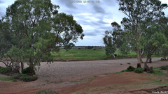 view from CreekCam East on 2026-04-08