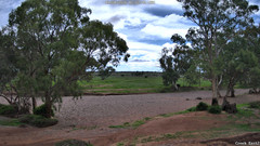 view from CreekCam East on 2026-04-13