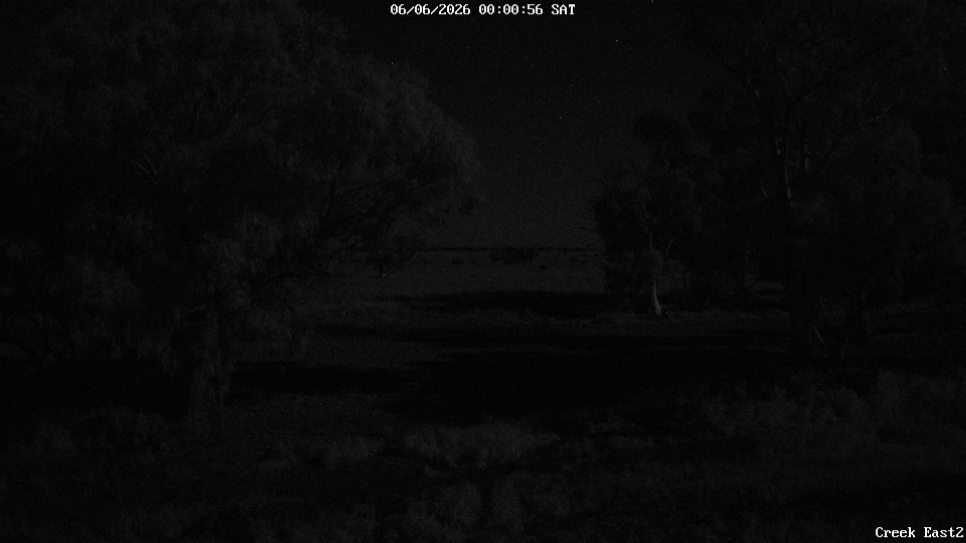time-lapse frame, CreekCam East webcam