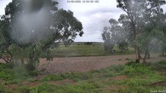 view from CreekCam East on 2026-08-24