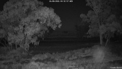 view from CreekCam East on 2026-08-26