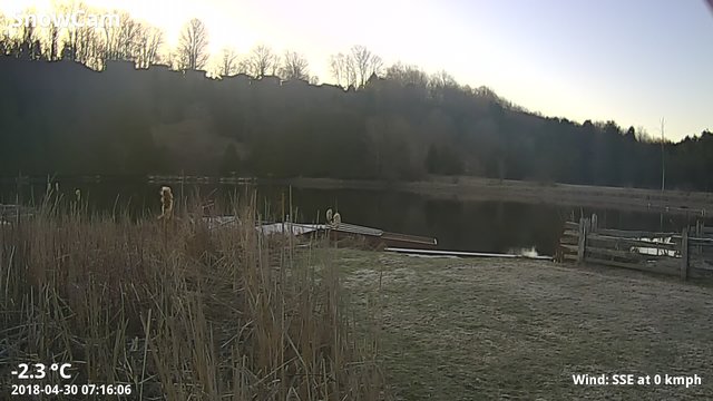 time-lapse frame, Dock Day 2018 webcam