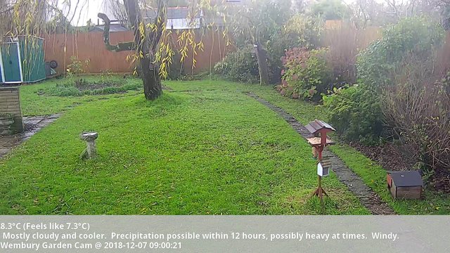 time-lapse frame, Wembury, Devon. Garden Cam webcam
