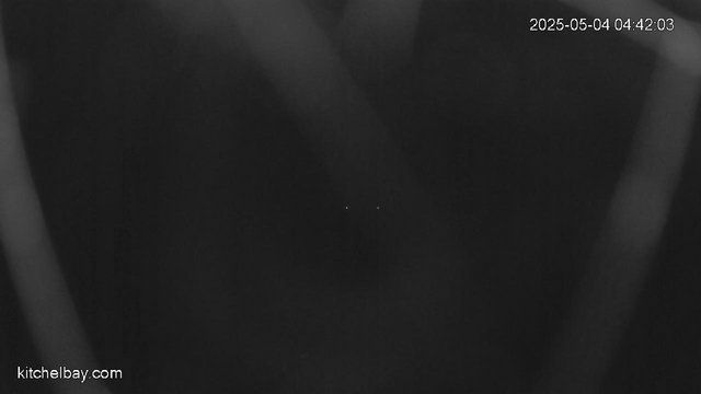 time-lapse frame, kitchelbay.com webcam