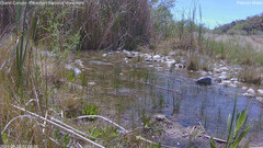 view from Pakoon Springs Stream Side on 2024-04-22