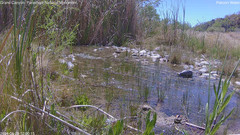 view from Pakoon Springs Stream Side on 2024-04-29