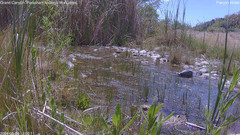 view from Pakoon Springs Stream Side on 2024-05-04