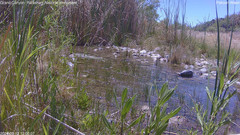 view from Pakoon Springs Stream Side on 2024-05-13