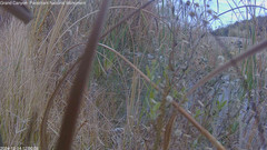 view from Pakoon Springs Stream Side on 2024-12-14