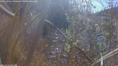 view from Pakoon Springs Stream Side on 2024-12-19