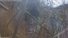 view from Pakoon Springs Stream Side on 2024-12-24