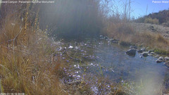 view from Pakoon Springs Stream Side on 2025-01-18