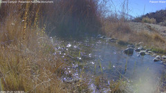 view from Pakoon Springs Stream Side on 2025-01-21