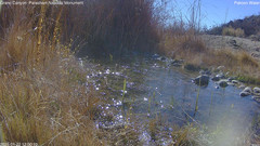 view from Pakoon Springs Stream Side on 2025-01-22