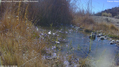 view from Pakoon Springs Stream Side on 2025-01-24