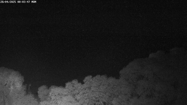 time-lapse frame, East webcam