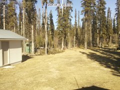 view from Cabin Cam on 2024-04-22
