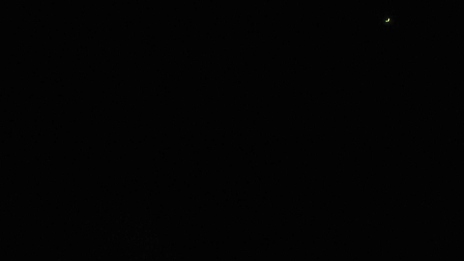 time-lapse frame, Sterchi Lodge webcam