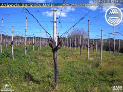 view from Bari Sardo - Fenologica on 2024-03-12