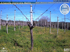 view from Bari Sardo - Fenologica on 2024-03-14