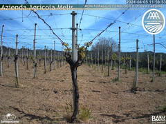 view from Bari Sardo - Fenologica on 2024-04-05