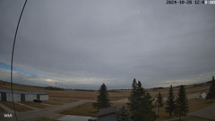 view from Olds Radar North on 2024-10-28