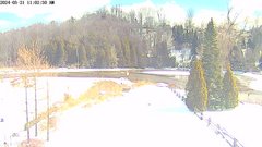 view from YardCam on 2024-03-21