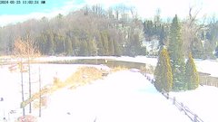 view from YardCam on 2024-03-23
