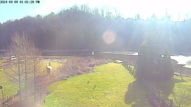 time-lapse frame, YardCam webcam