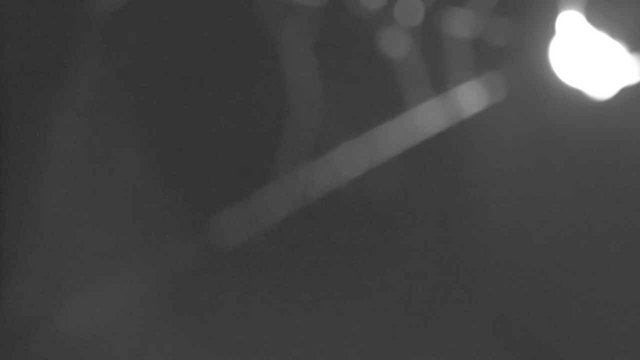 time-lapse frame, YardCam webcam