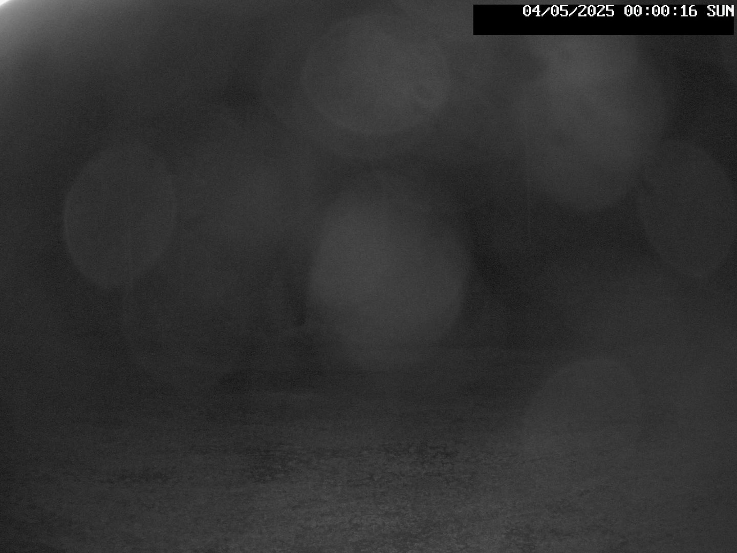 time-lapse frame, Stadium.Cam webcam