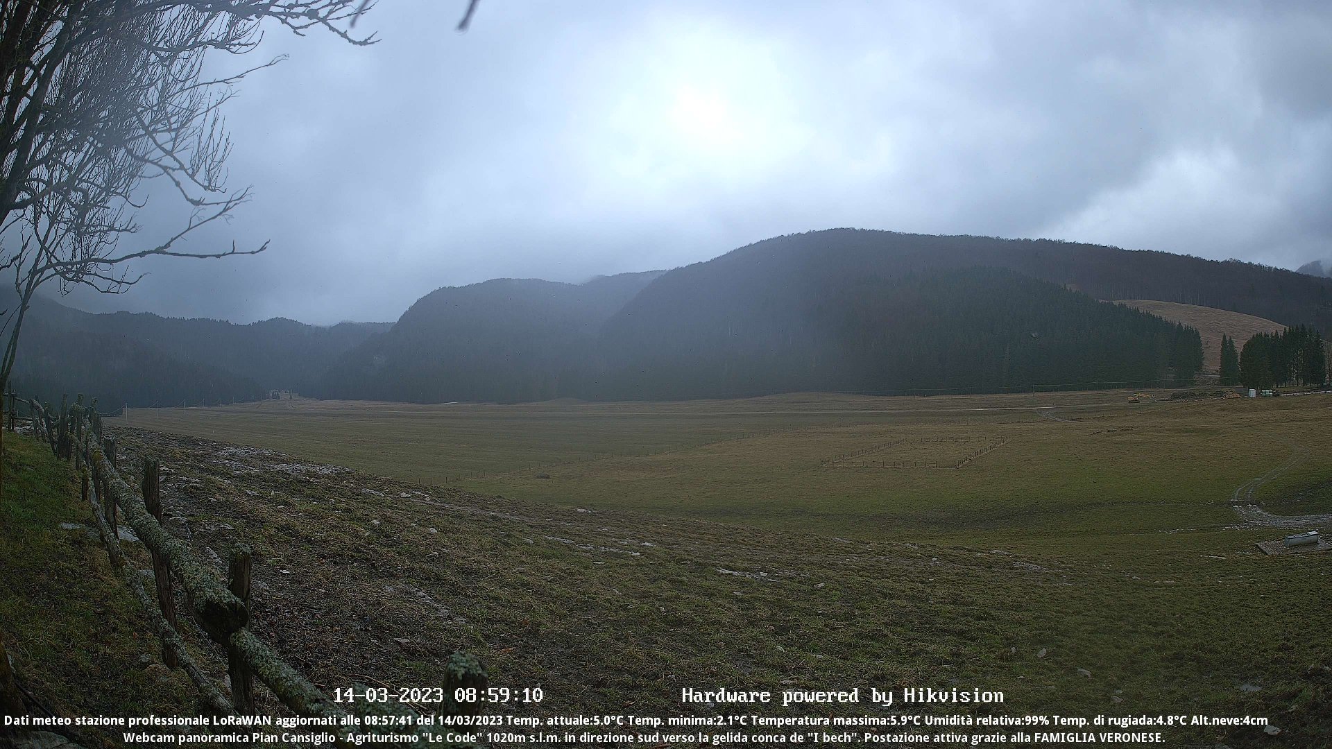 time-lapse frame, Webcam Cansiglio - verso la piana dei "Bech" webcam