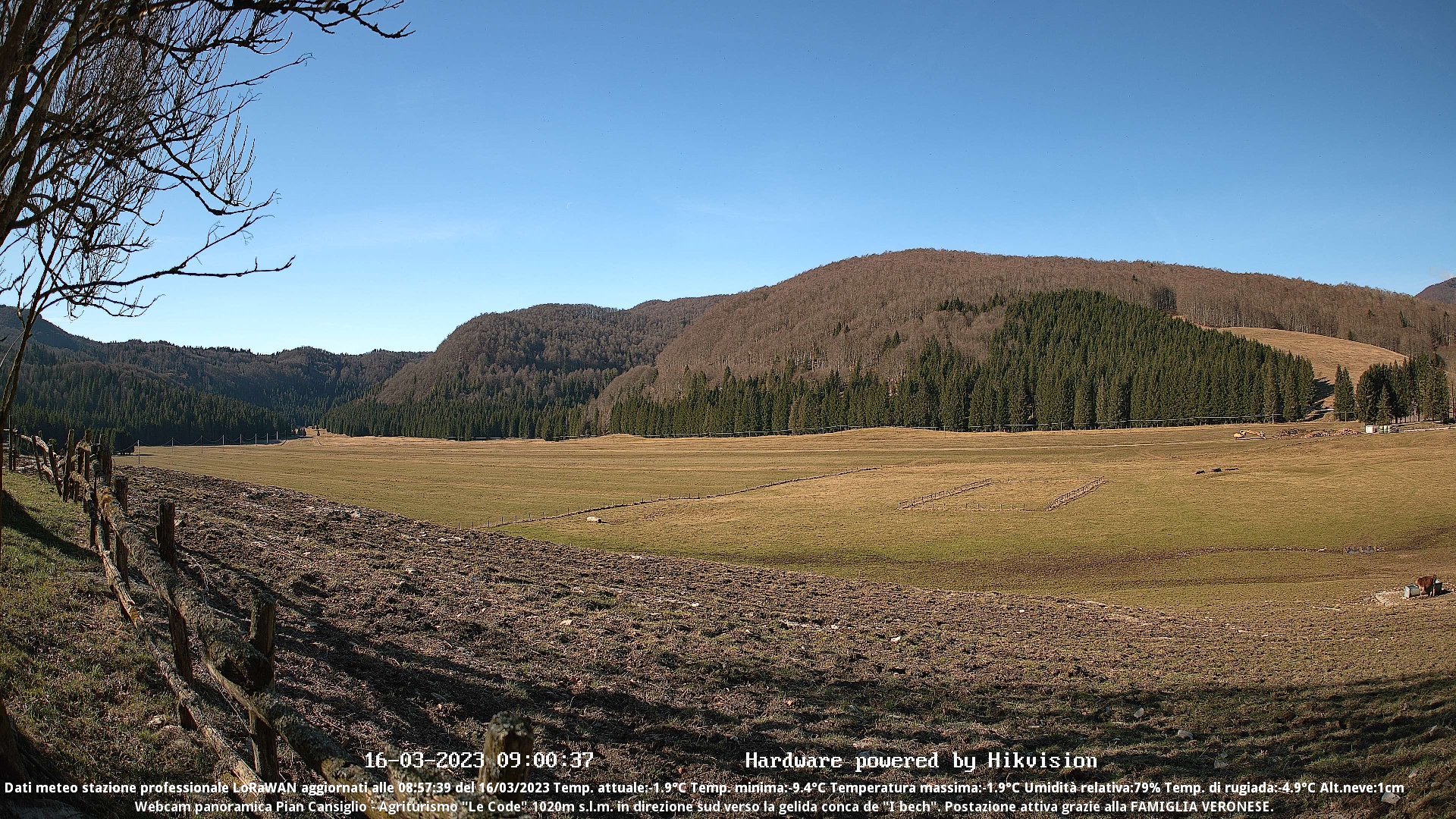 time-lapse frame, Webcam Cansiglio - verso la piana dei "Bech" webcam