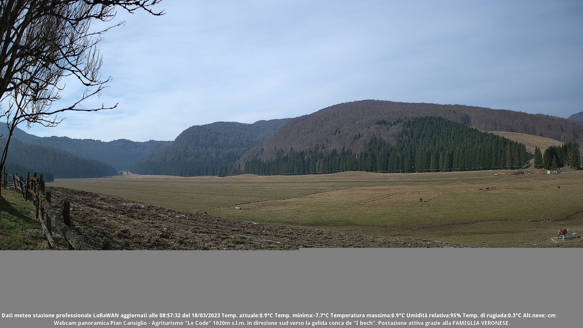 time-lapse frame, Webcam Cansiglio - verso la piana dei "Bech" webcam